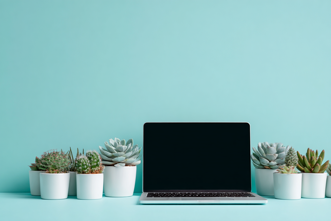 מהשיווק לחיים: עקרונות שיווקיים התורמים להתפתחות אישית